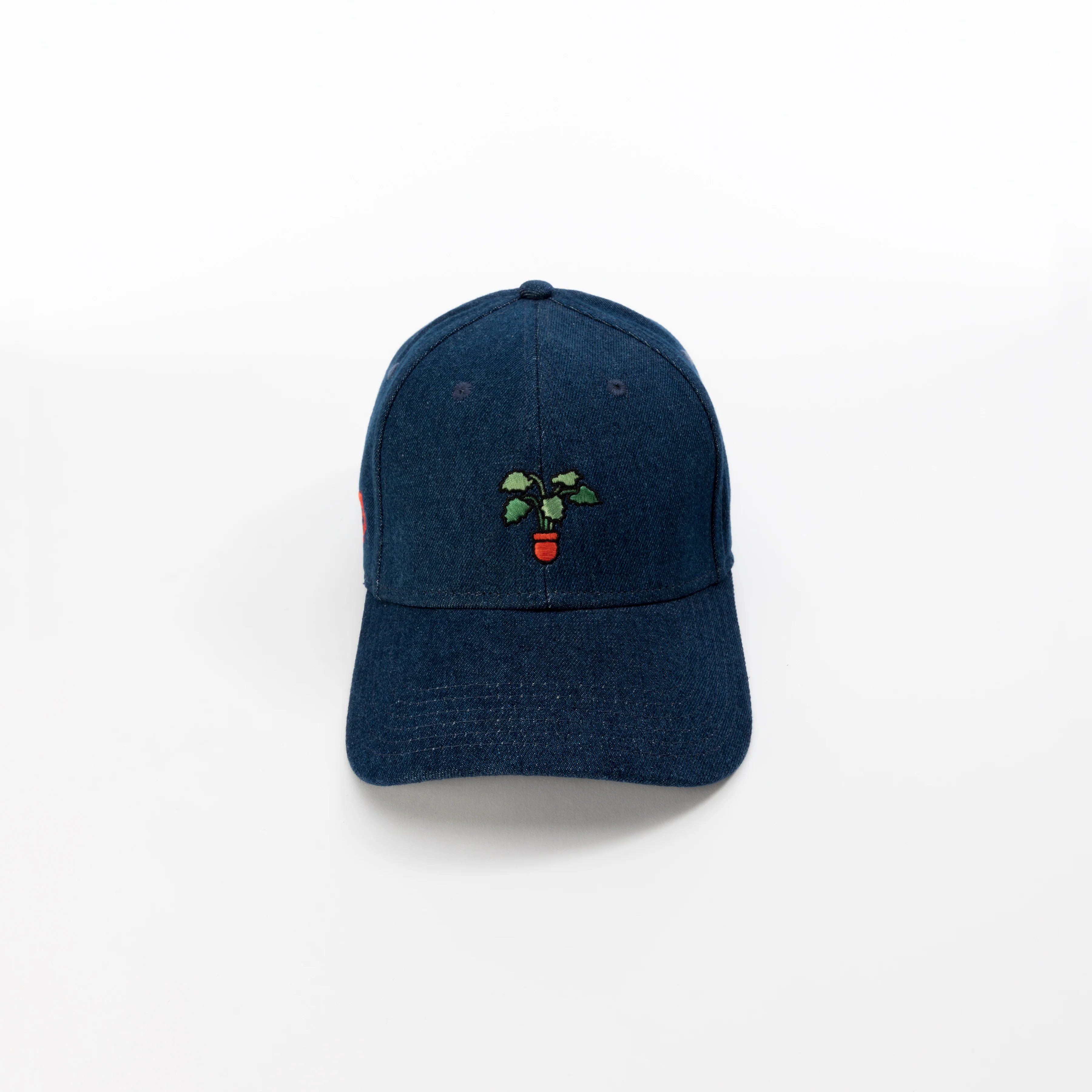 Bloom // 002 - Image 3