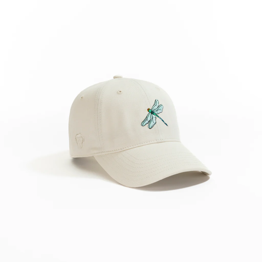 Dragonfly - Image 2