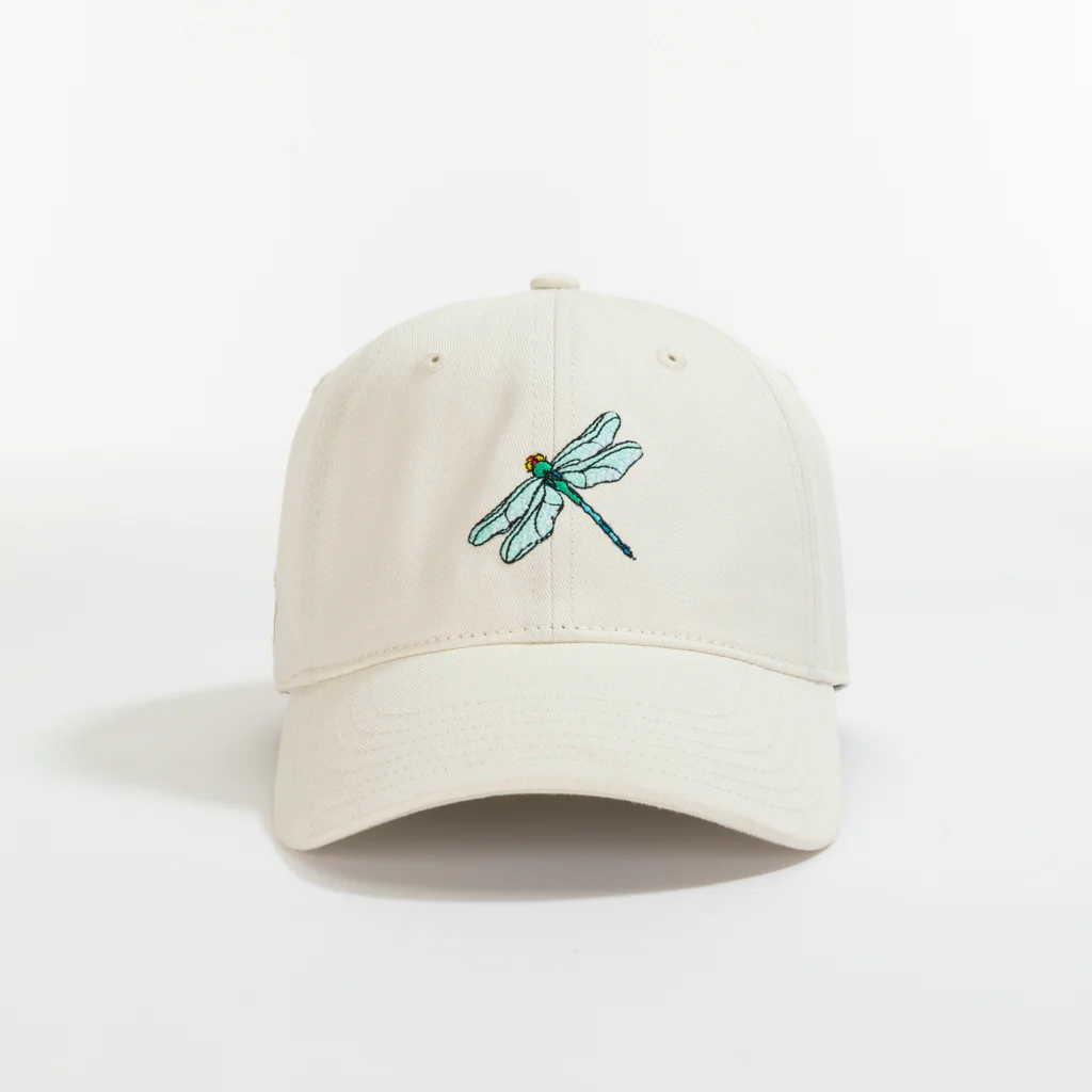 Dragonfly - Image 3