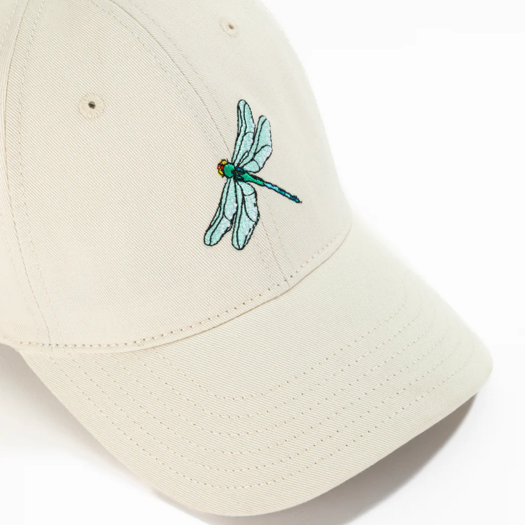 Dragonfly - Image 4