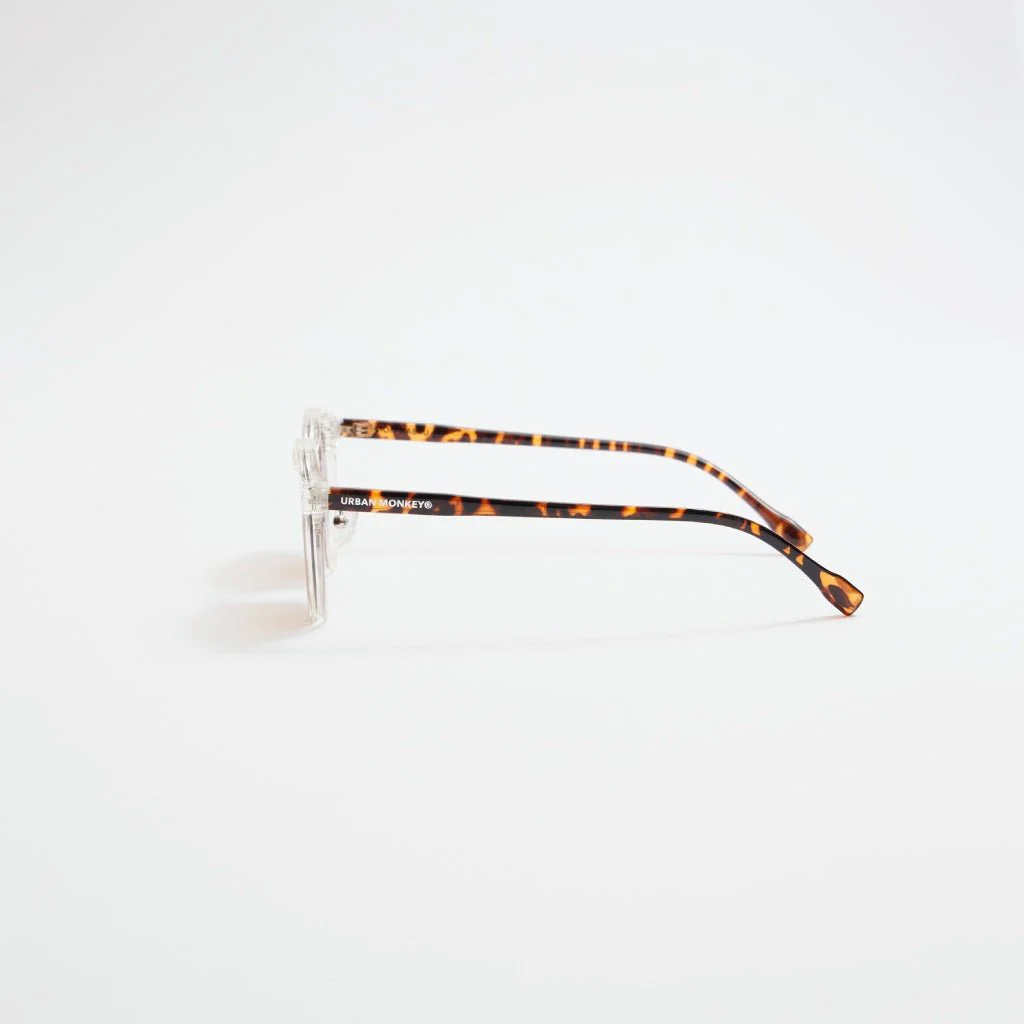east coast // 005 - Image 4