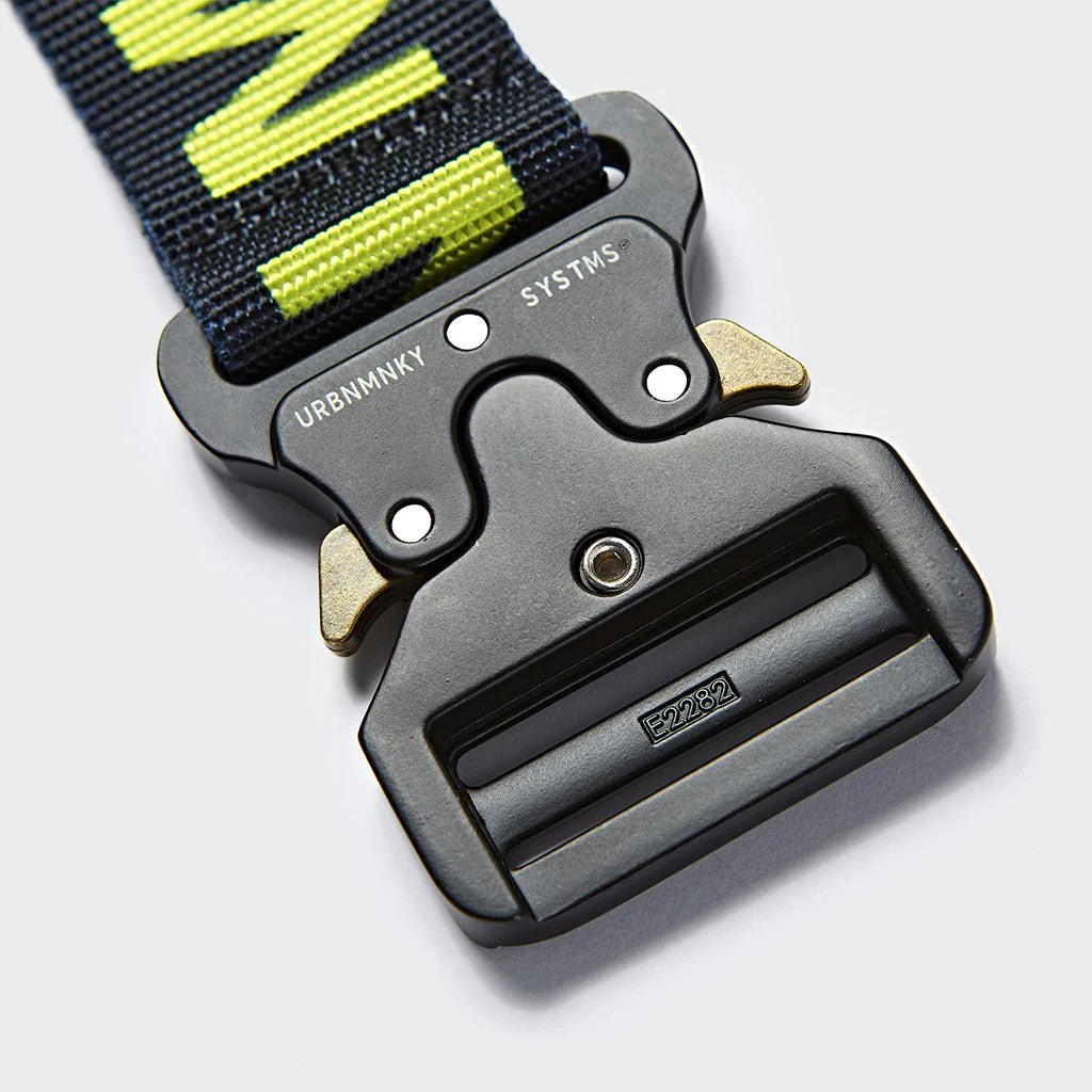 concept belt // 001 - Image 4