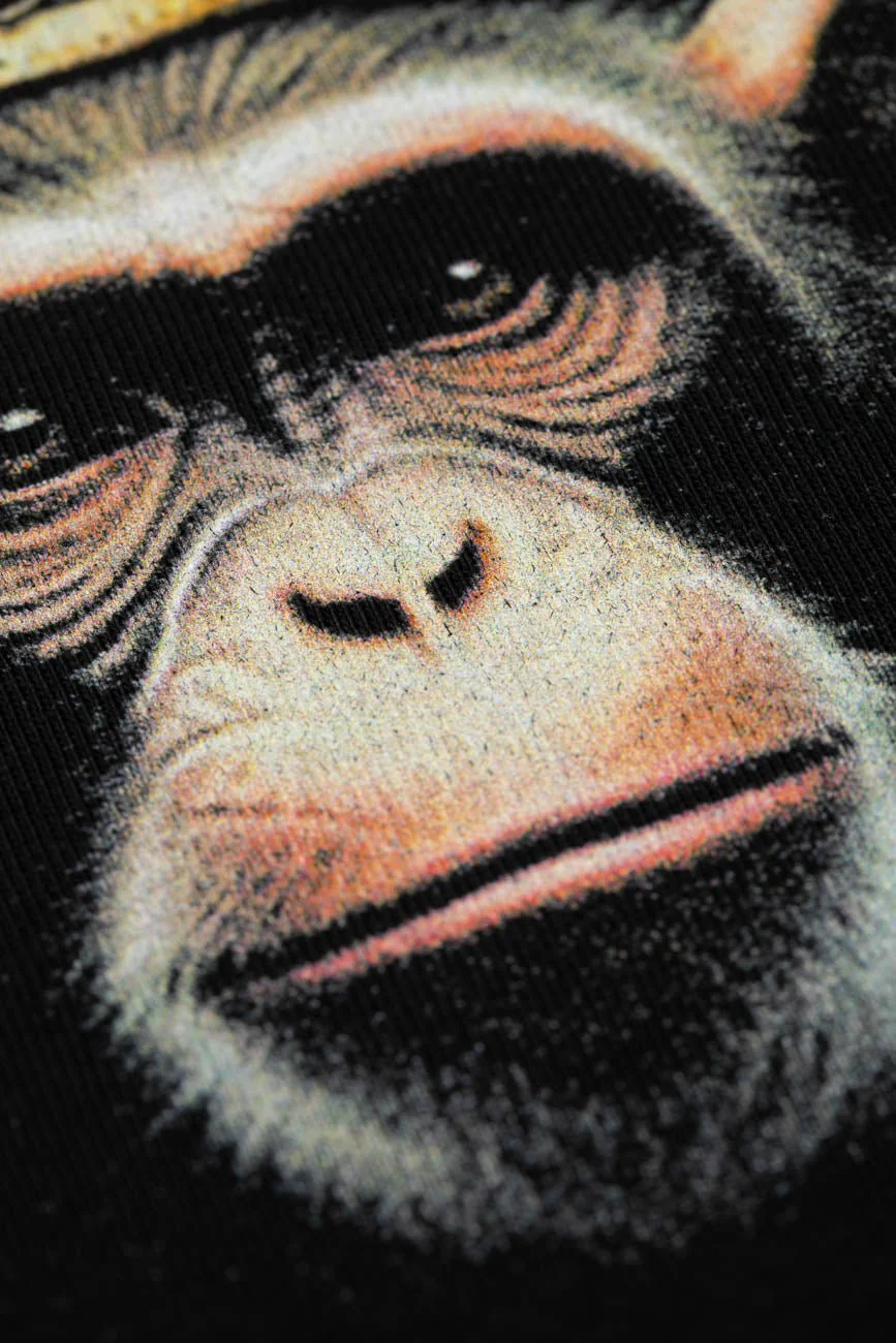 Royal Monkey - Image 8