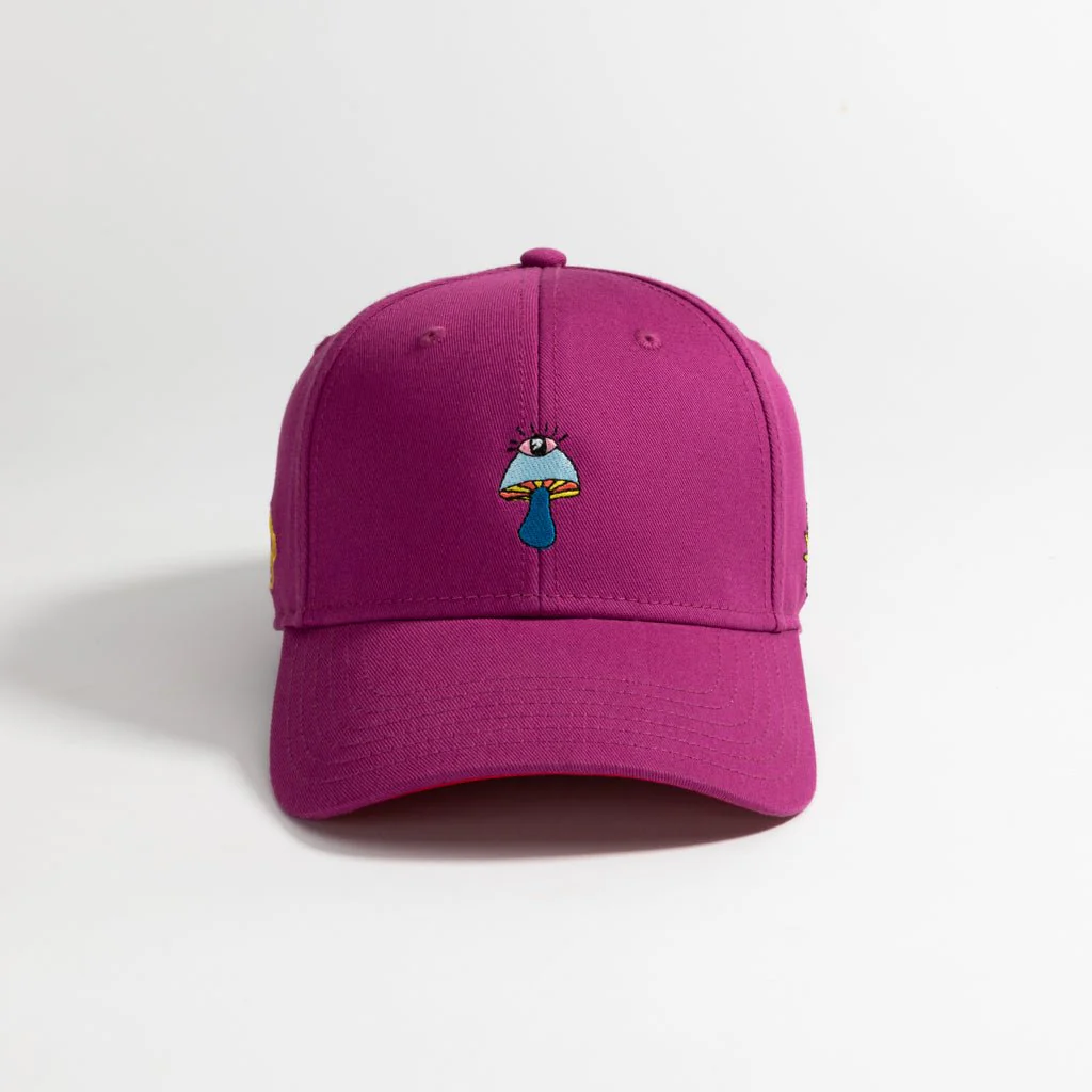 Manifest - Image 3