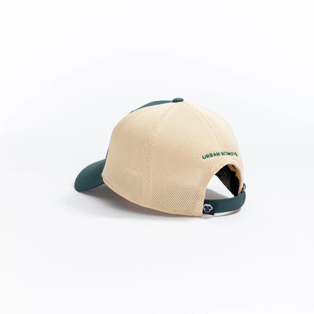 UM Vision - Image 4